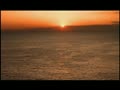 アダルト動画:田中真理11